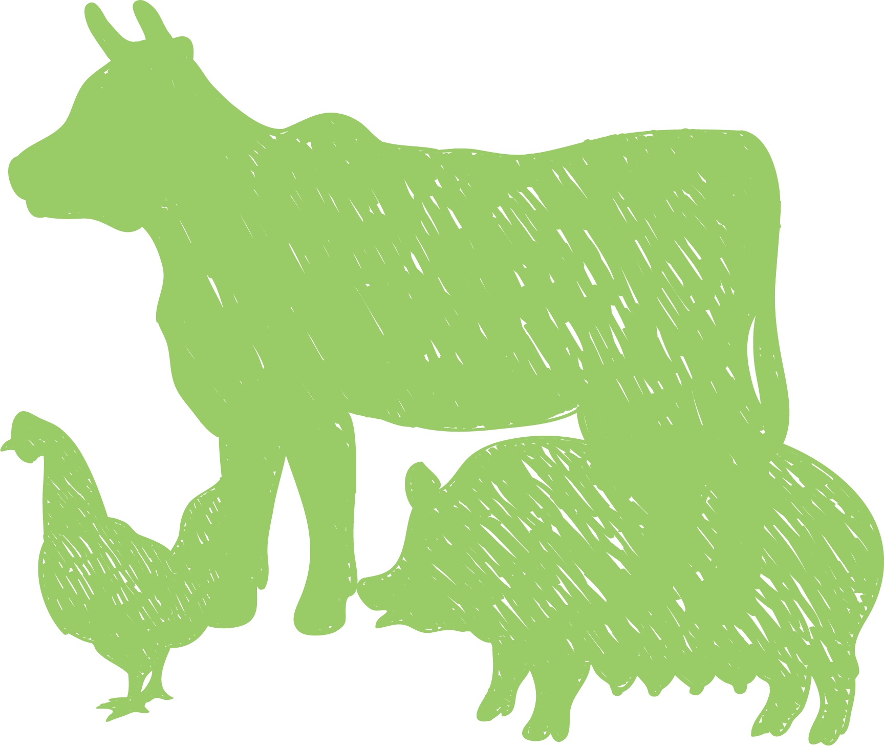 Horeca vlees online - Varken, koe, kip